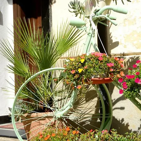 Appartamento Ciassa Noeva